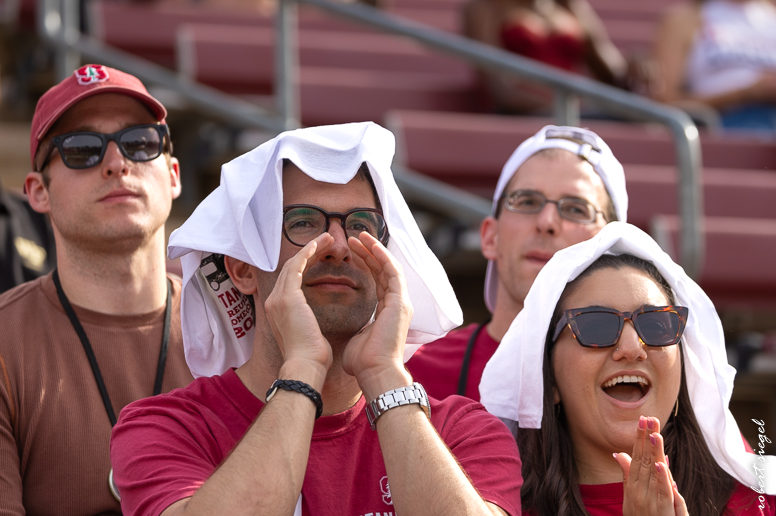 stanford football 2024